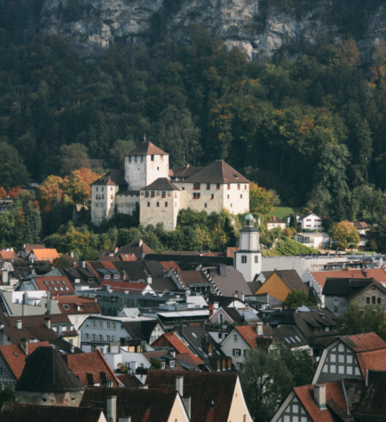 Wahlen in Feldkirch